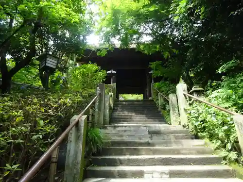 杉本寺の山門