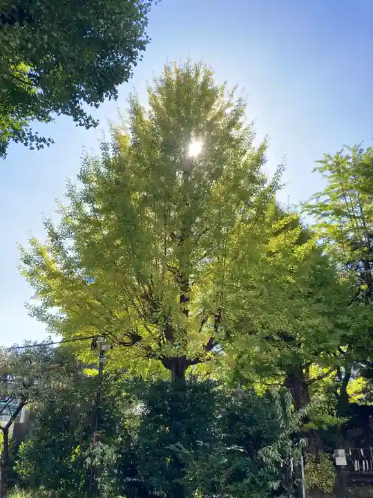 素盞雄神社(東京都)