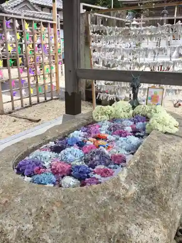 金井神社の手水舎