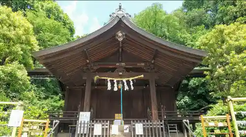 白子熊野神社の本殿