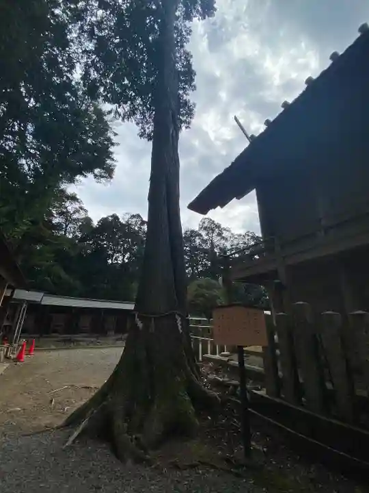 豊受大神社(京都府)