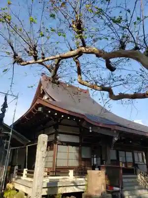 吉祥院の本殿・本堂