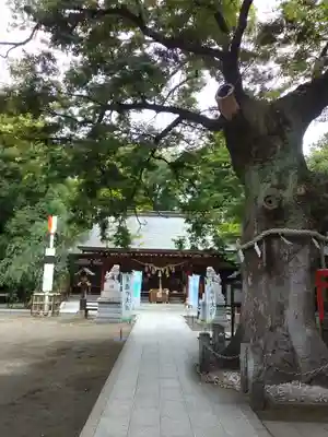 新田神社(東京都)