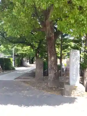 安養寺(東京都)