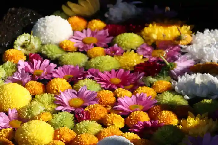 大鏑神社の手水舎