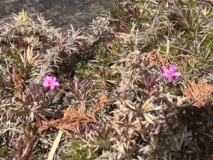 国宝 大法寺(長野県)
