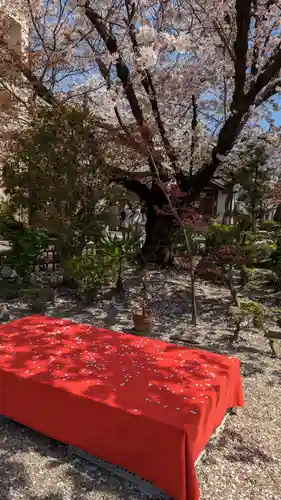 墨染寺（桜寺）の自然