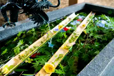 下野 星宮神社の手水舎