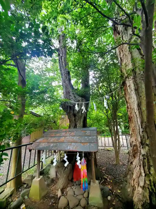日吉神社(福島県)