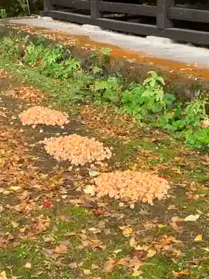 宮昌寺(福島県)