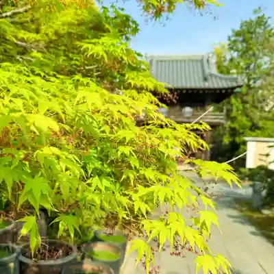 伊勢の国 四天王寺(三重県)