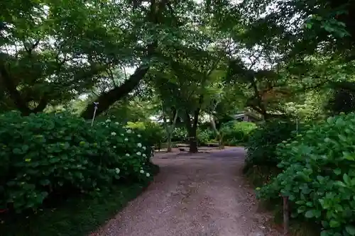 矢田寺の庭園