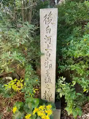 新熊野神社(京都府)