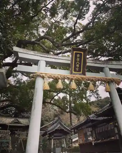 事任八幡宮の鳥居