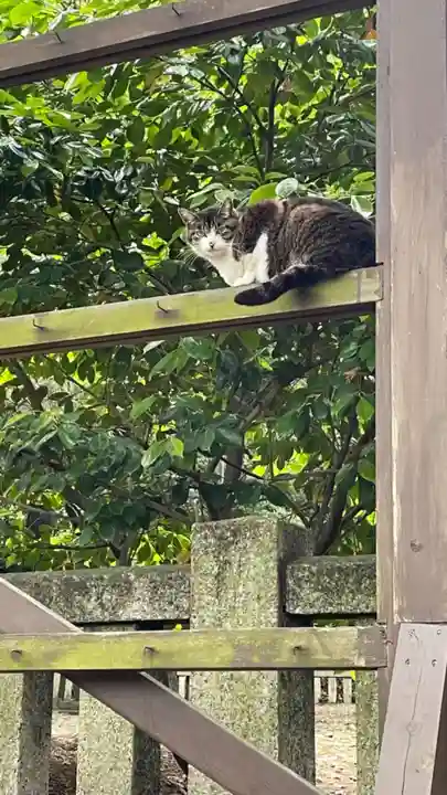 和歌山縣護國神社の動物