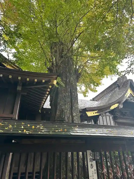 麻賀多神社(千葉県)