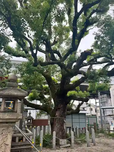 石津神社(大阪府)
