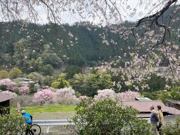 龍珠院(東京都)