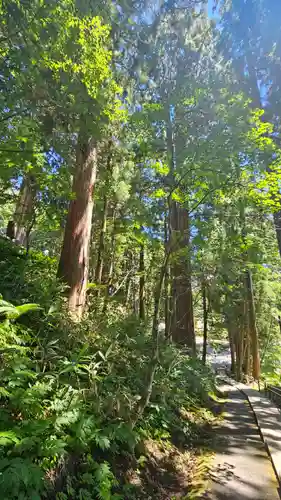 戸隠神社中社(長野県)
