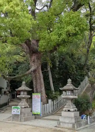 垂水神社(大阪府)