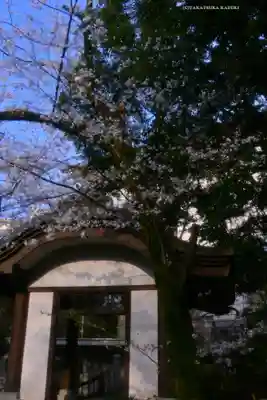伊勢山皇大神宮(神奈川県)