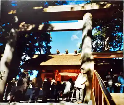 伊勢神宮内宮(皇大神宮)の本殿・本堂