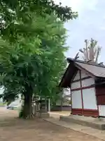 羽黒神社(千葉県)