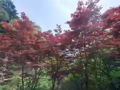 大山寺(神奈川県)