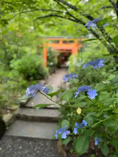 平野神社(京都府)
