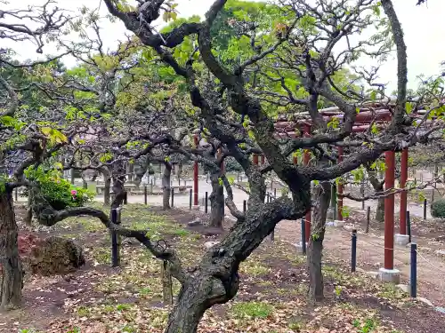 結城神社の自然