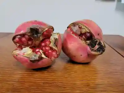 妙見寺(群馬県)