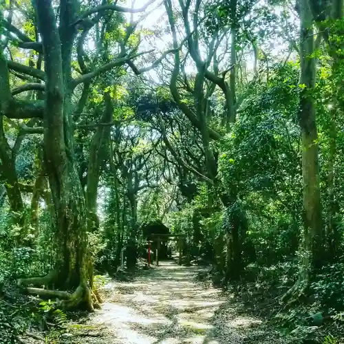 沼尾神社の自然