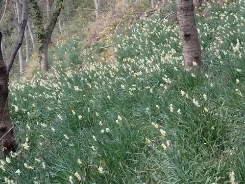 鐸比古鐸比賣神社旧社地の自然