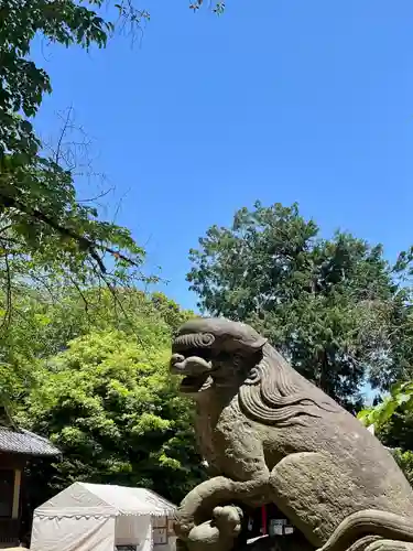 中山神社(埼玉県)
