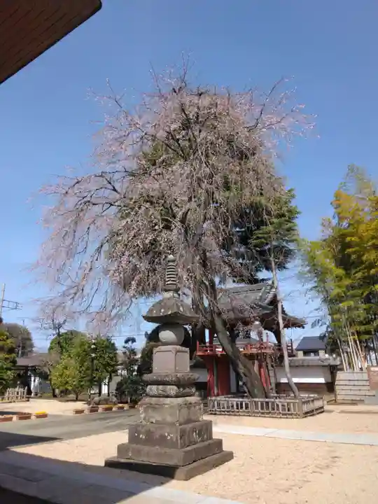 相頓寺(埼玉県)