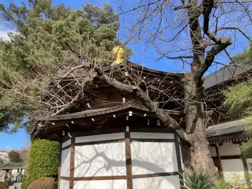 清水寺(東京都)
