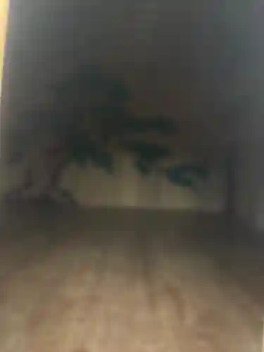 春日神社（佐渡相川下戸）(新潟県)