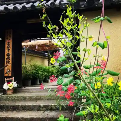 當麻寺 西南院(奈良県)