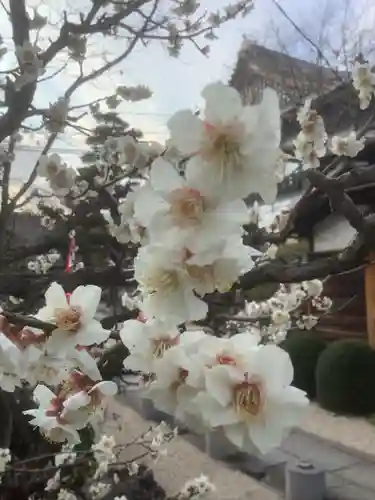 寳珠院（常楽寺）の庭園