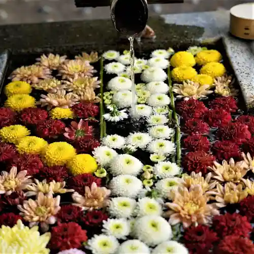  岳温泉神社 の手水