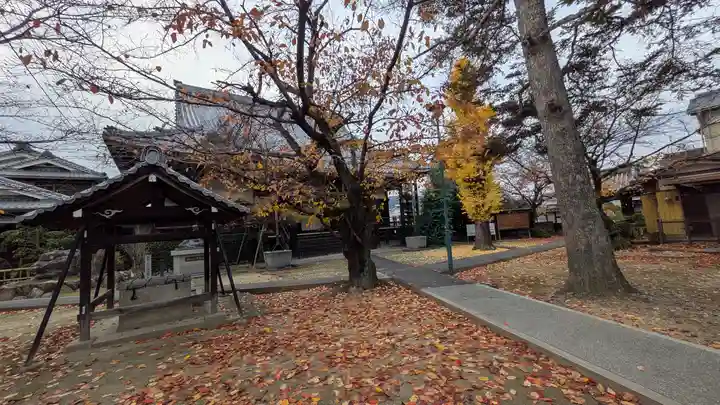 西宗寺(京都府)