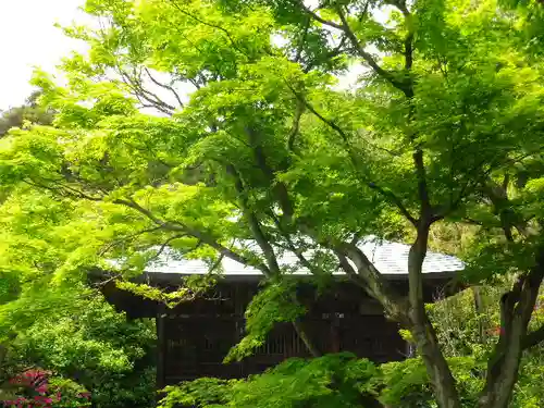 浄光明寺の自然