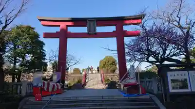亀戸天神社の鳥居