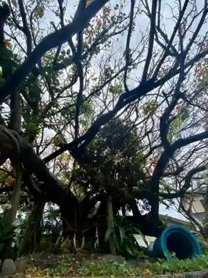 柏島稲荷神社(高知県)