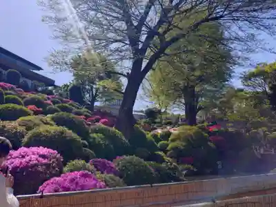 根津神社(東京都)