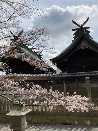 住吉神社の本殿・本堂