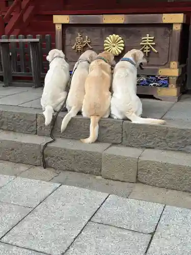 武蔵御嶽神社(東京都)