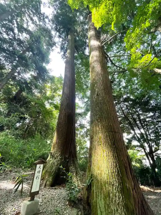 大神神社(岐阜県)