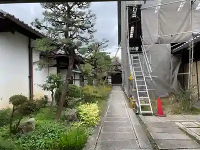 天授院（妙心僧堂）(京都府)