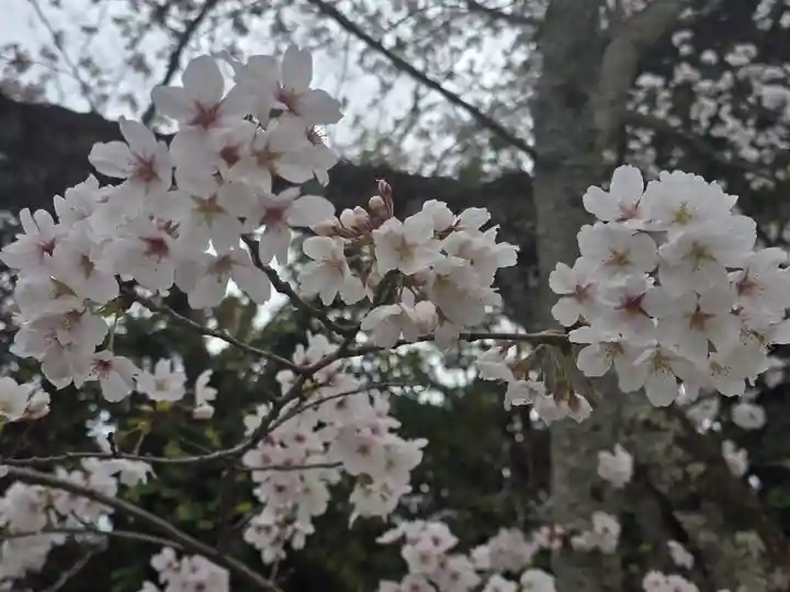 粉河寺(和歌山県)